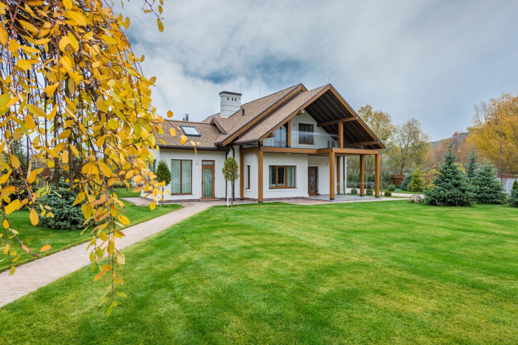 Chimney Services