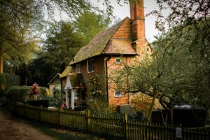 Chimney Services